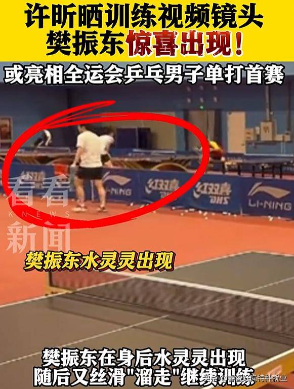 开云平台-中国乒乓球队血洗奥地利乒乓球队，许昕惊艳世界的简单介绍