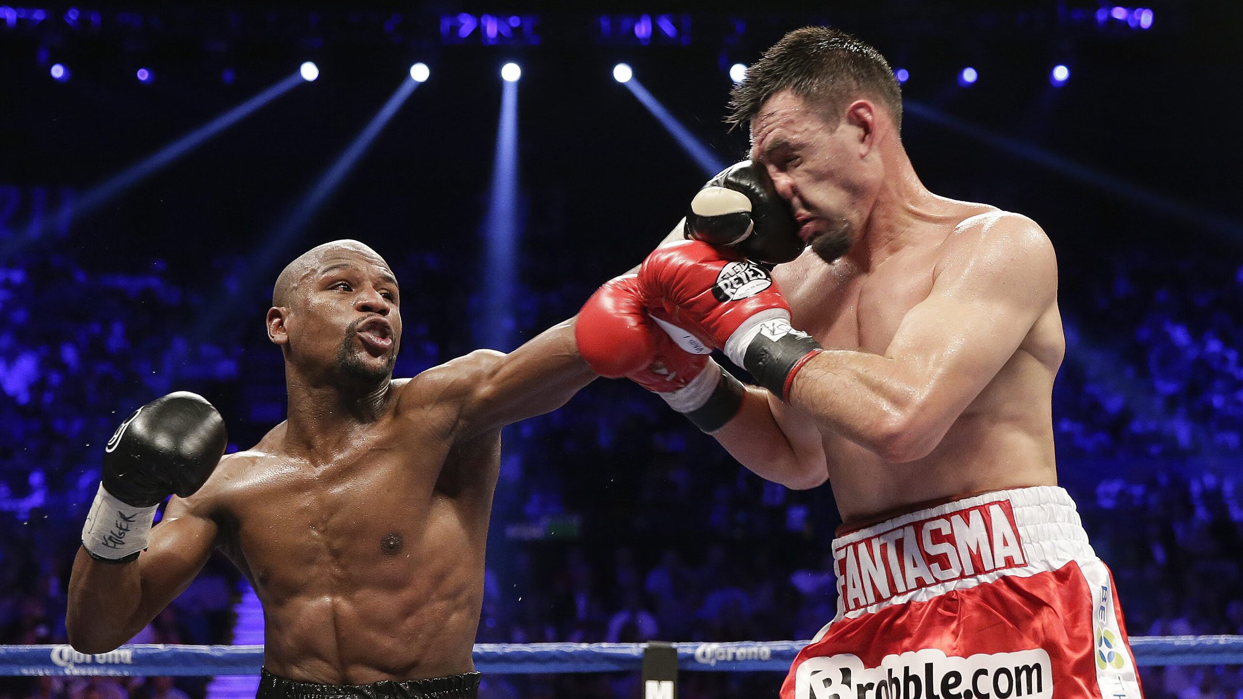 从麦迪逊花园到世界之巅，霍勒迪的双重征服