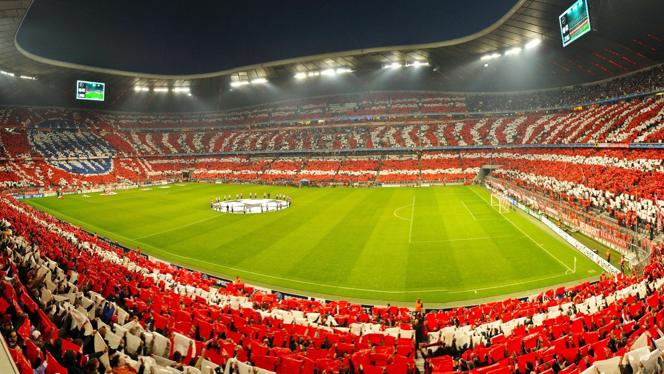 当药厂遇见袋鼠，萨内那记改写剧本的绝杀