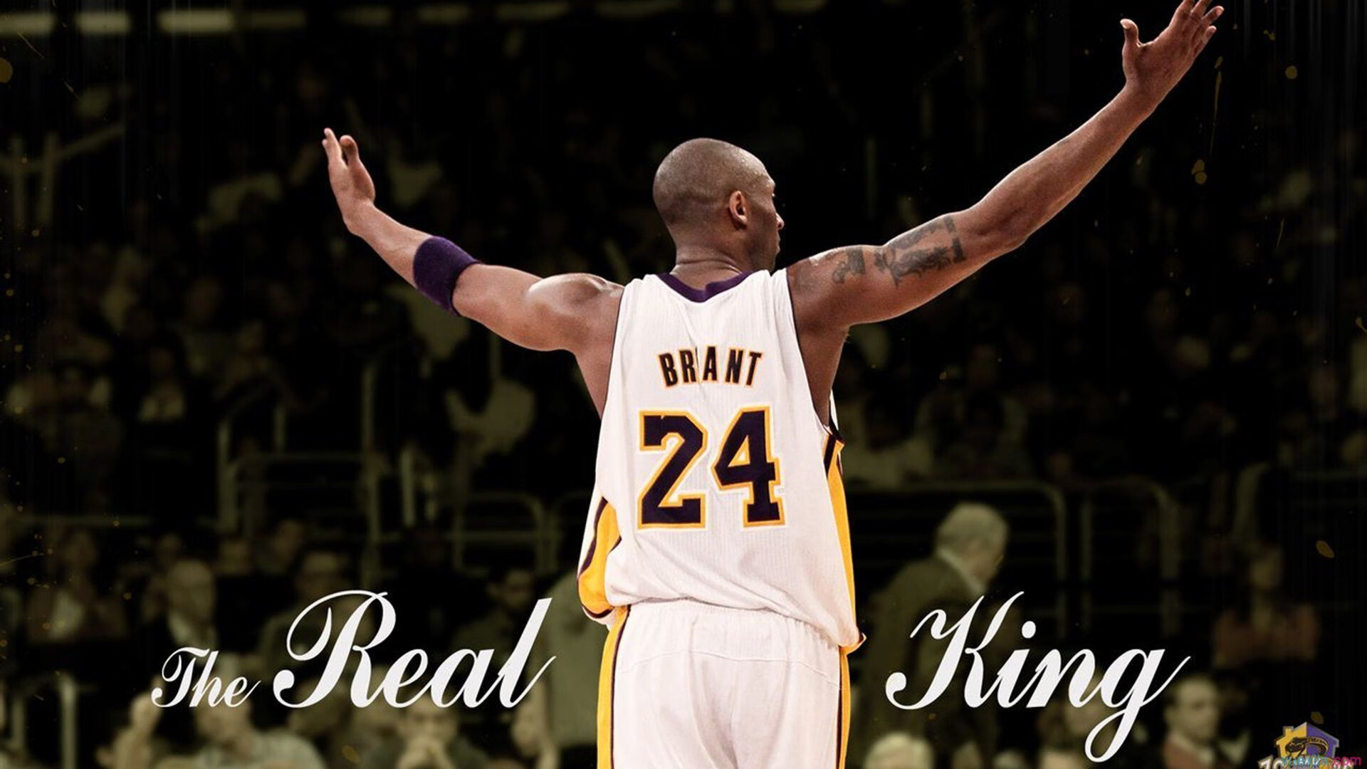 开云体育平台APP-东决关键战之夜，巴雷拉成为全场焦点